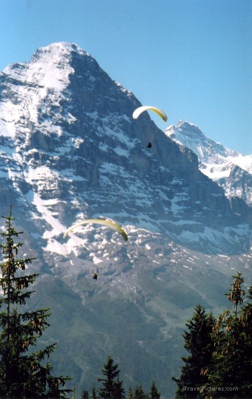 Grindelwald Eiger paraglider mountain
